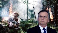 Bolsonaro Amazonas