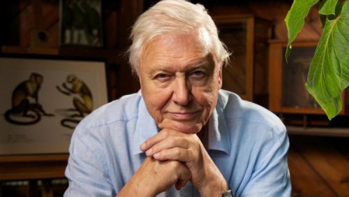 sir david attenborough